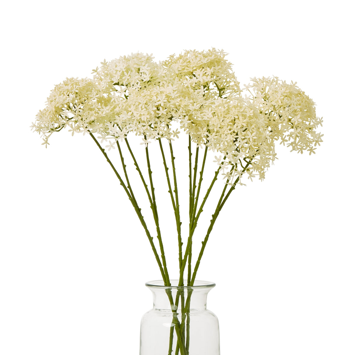 Cream Crown Hydrangea Stem - image 3