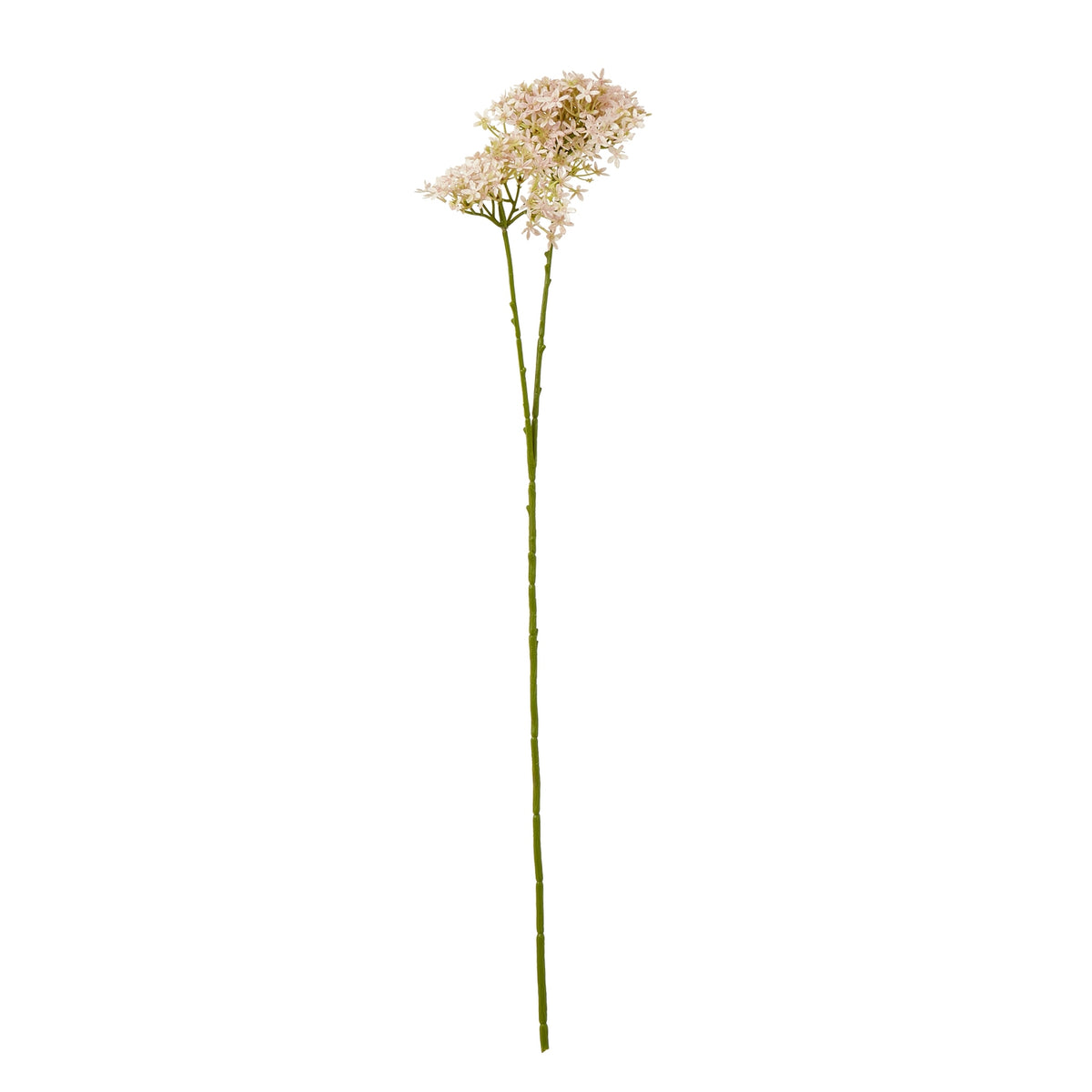 Pink Crown Hydrangea Stem - image 1