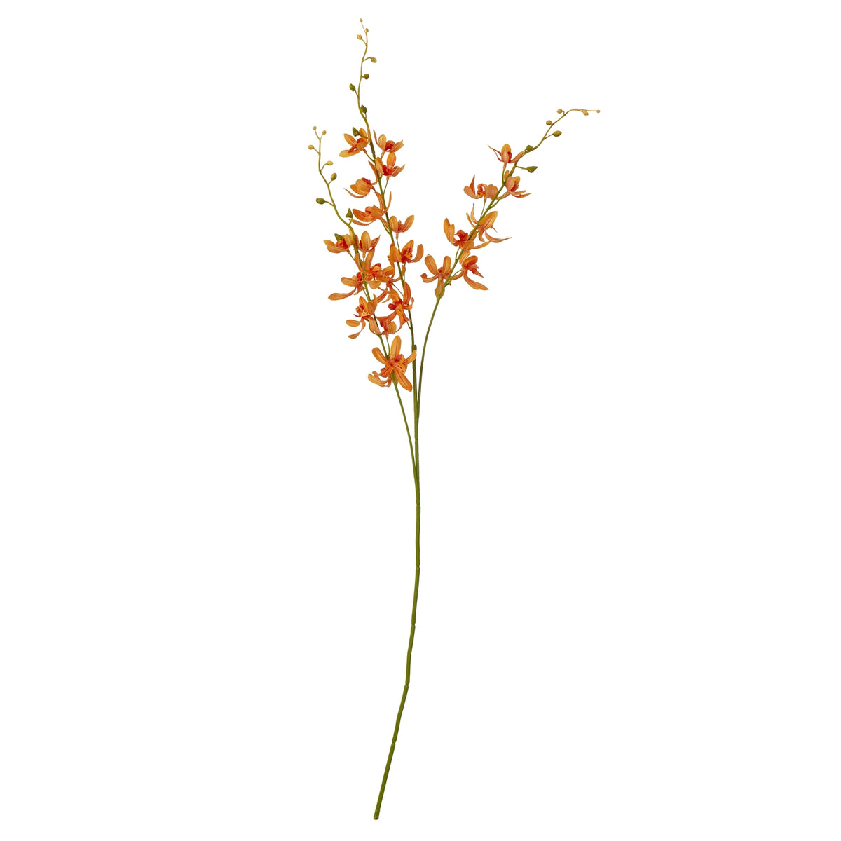 Orange Cymbidium Spray - image 1