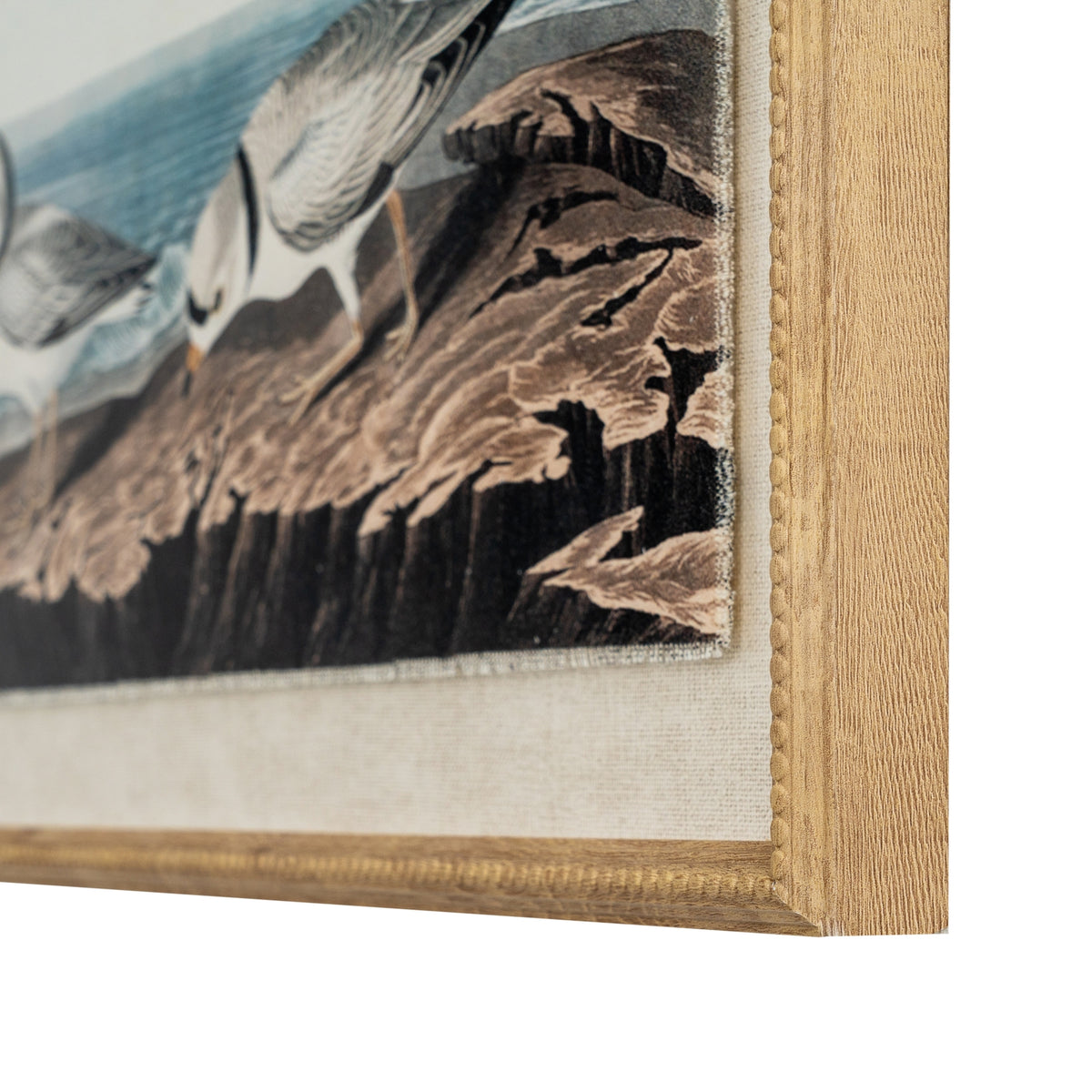 Flora & Fauna Collection Plovers On Linen In Beaded Frame - image 2