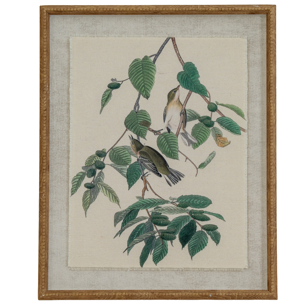Flora & Fauna Collection Warblers On Linen In Beaded Frame - image 1