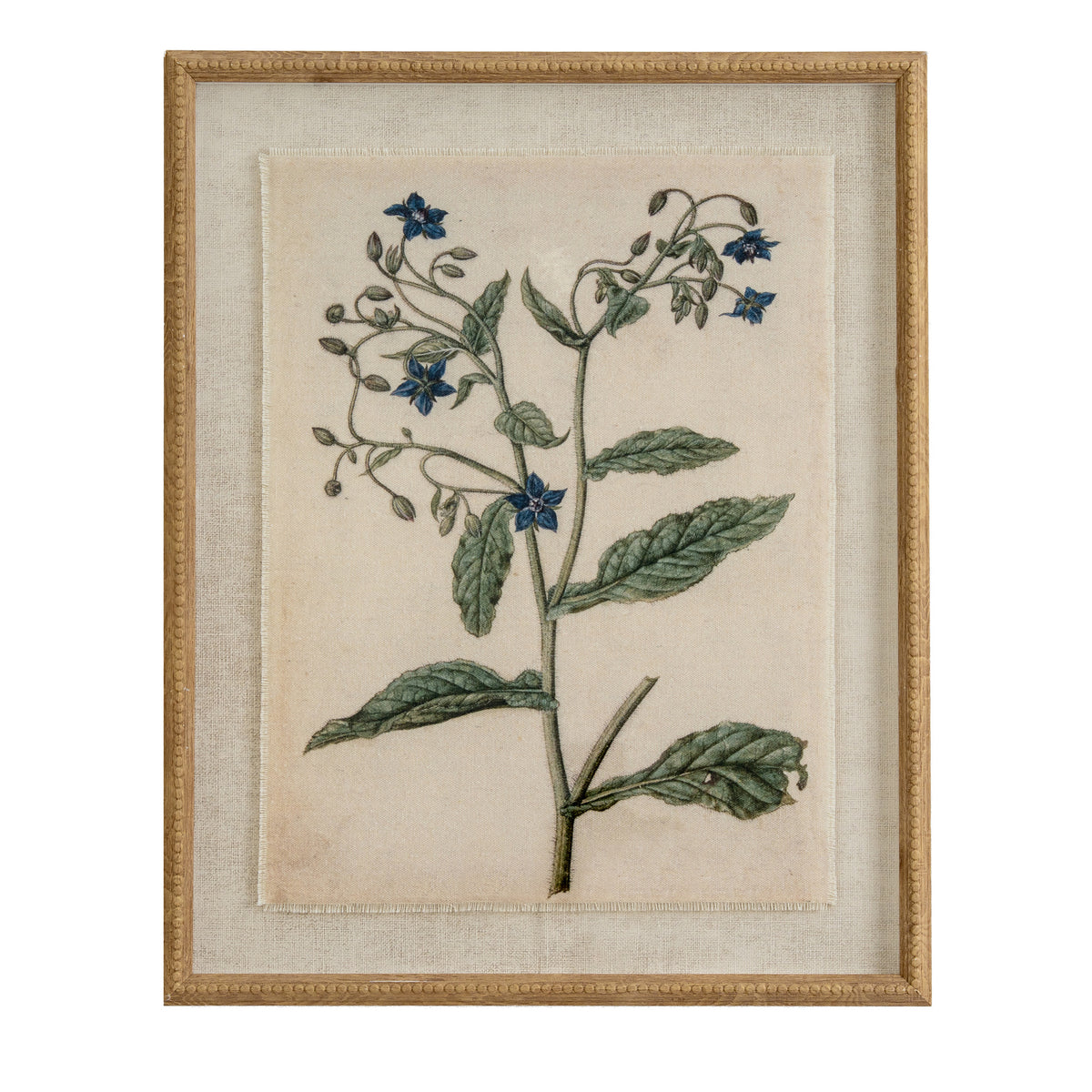 Flora & Fauna Collection Borage On Linen In Beaded Frame - image 1