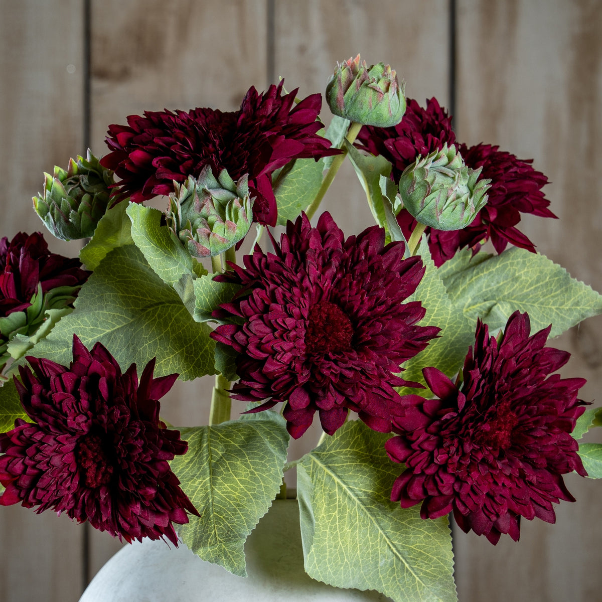 Dahlia Burgundy Raven Stem - image 1
