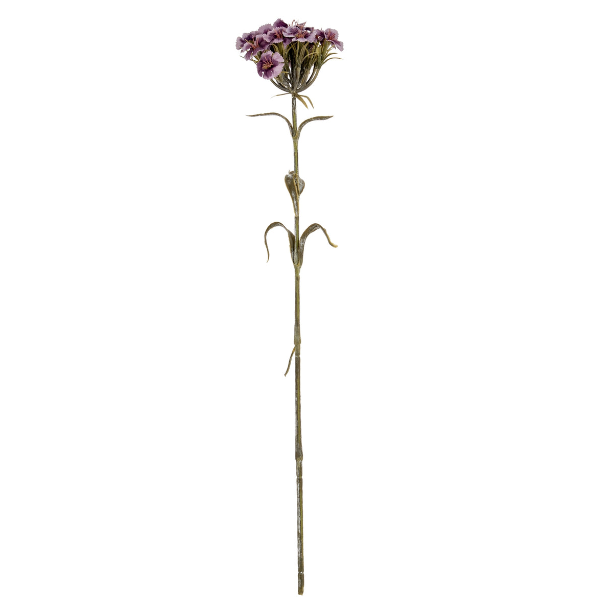 Purple Dianthus Spray - image 2