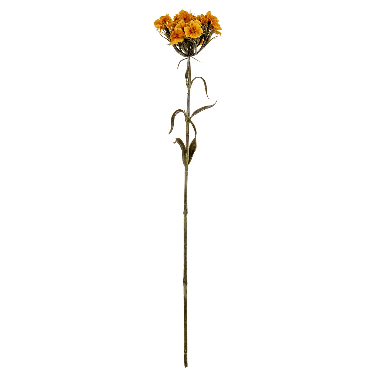 Yellow Dianthus Spray - image 2