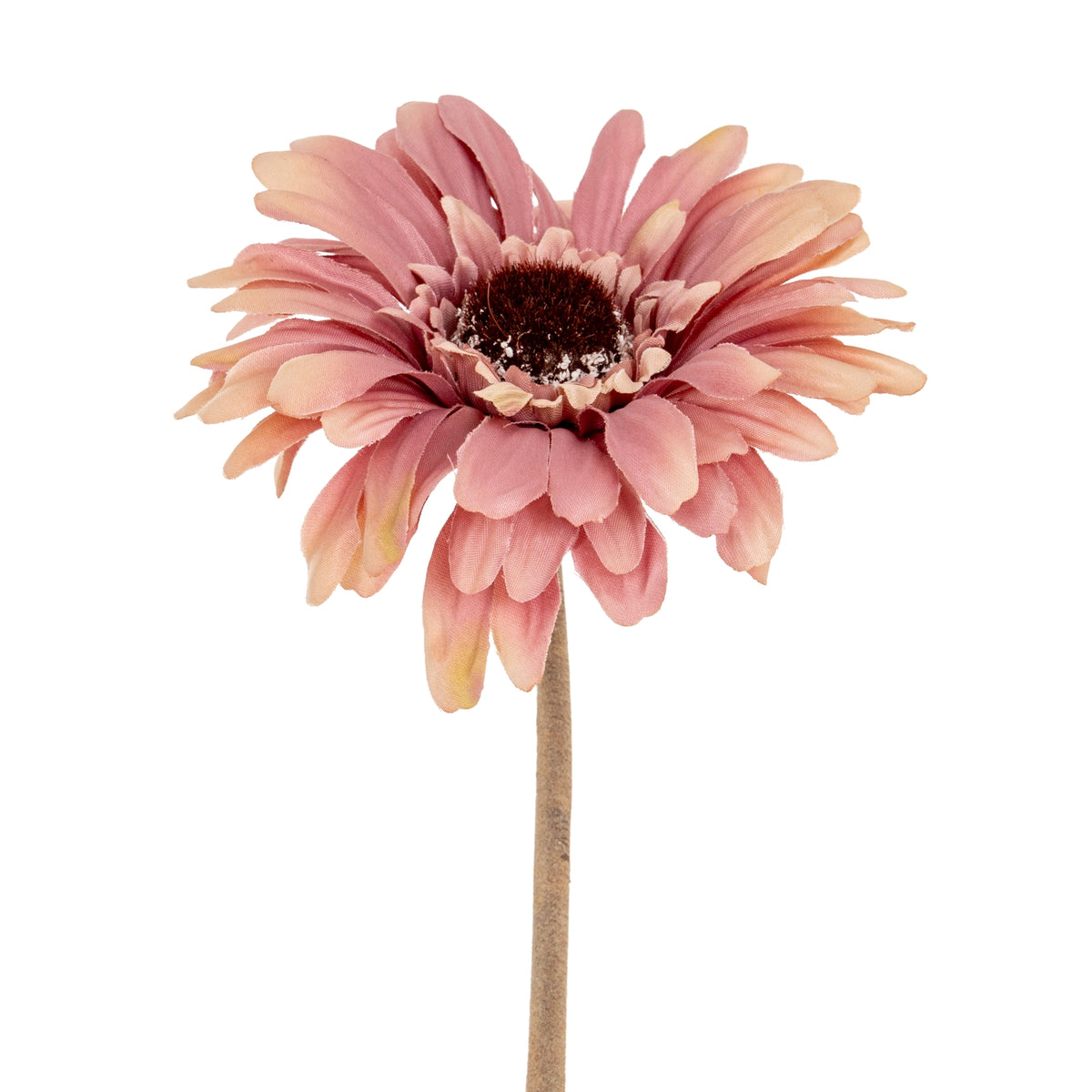 Pink Gerbera Stem - image 1