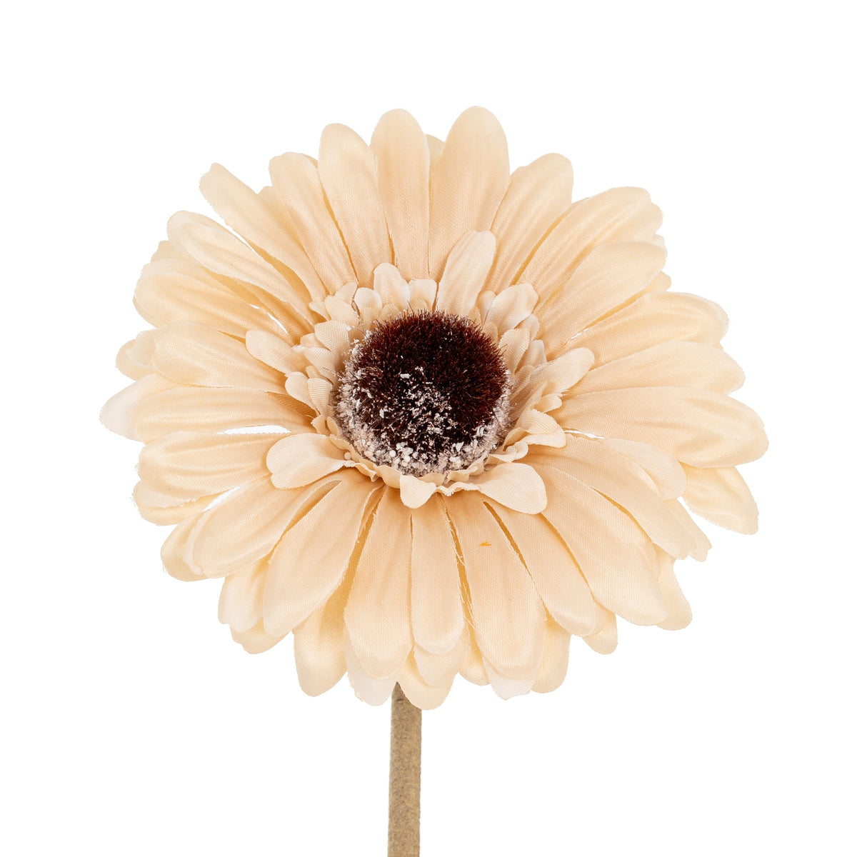 Cream Gerbera Stem - image 1