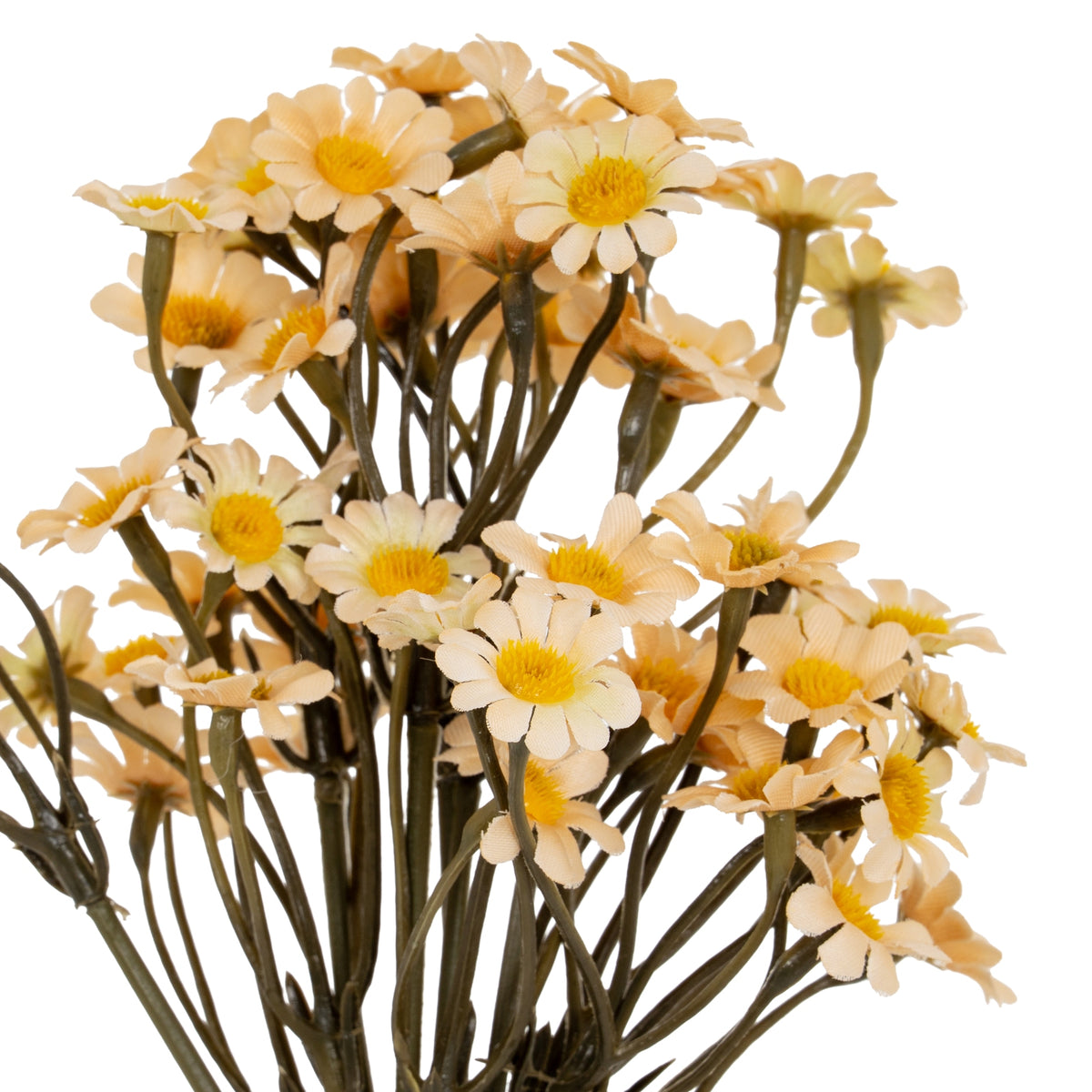 Cream Daisy Bunch - image 1