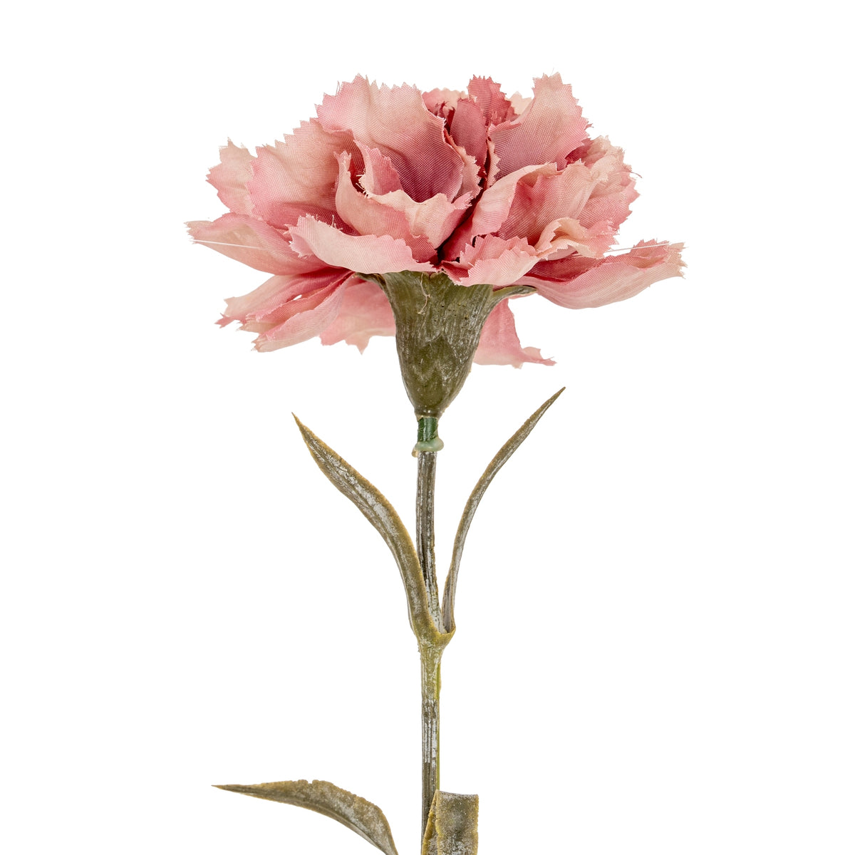 Pink Carnation Stem - image 1