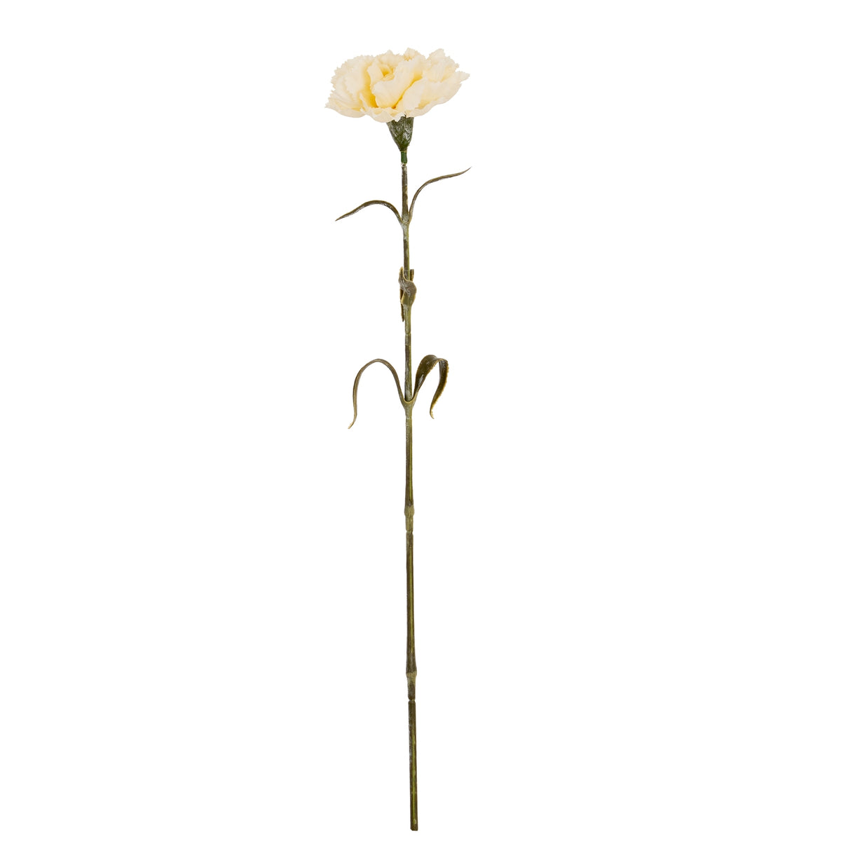 Cream Carnation Stem - image 2