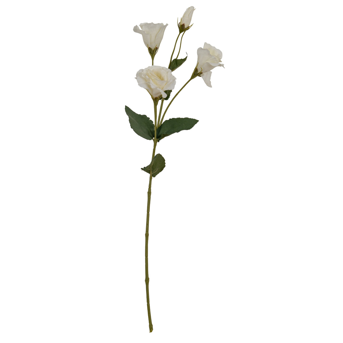 White Lisianthus Spray - image 2