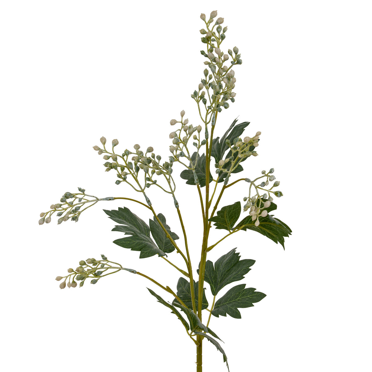 Milk Thistle Bud Spray - image 4