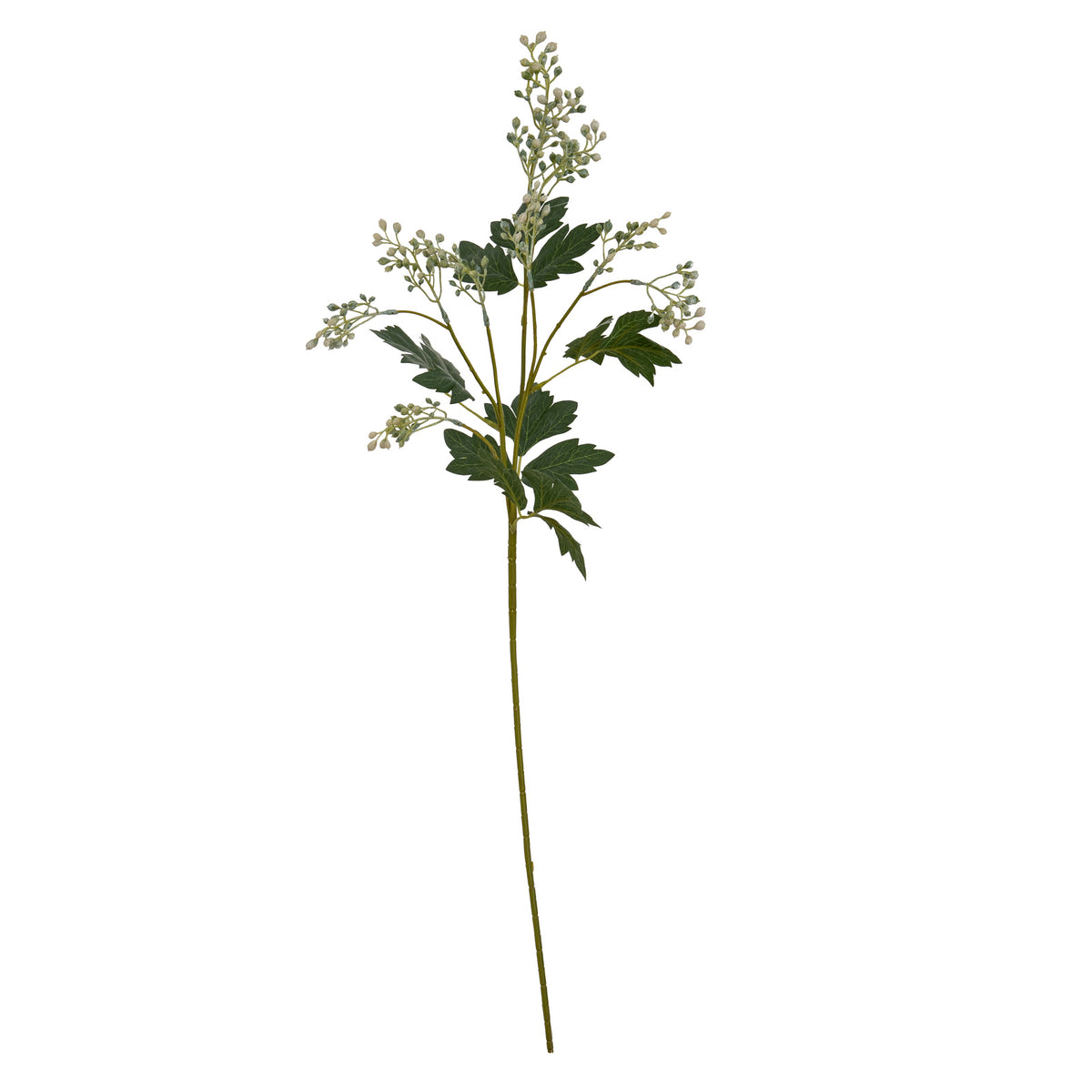 Milk Thistle Bud Spray - image 5