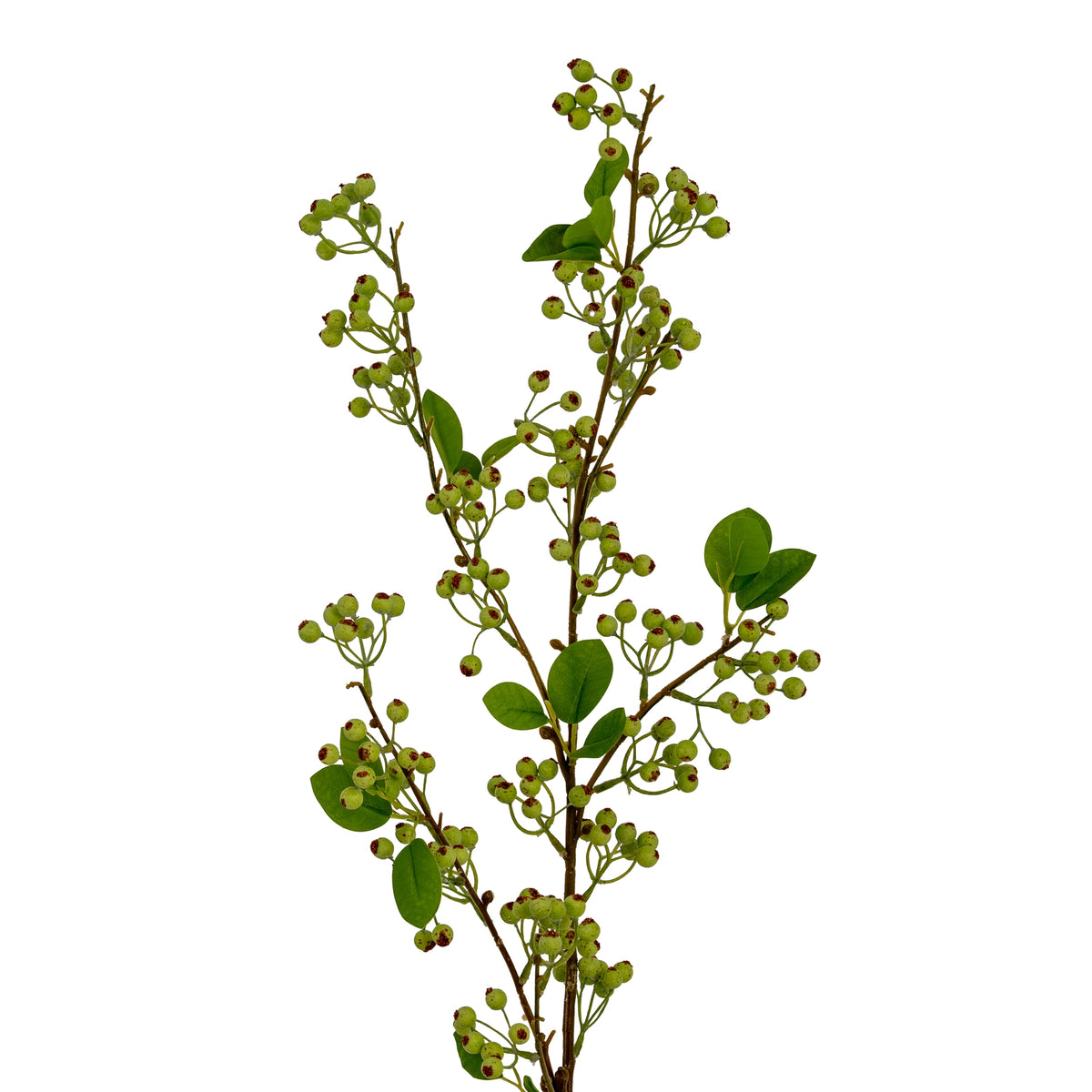 Green Mossberry Large Branch - image 1