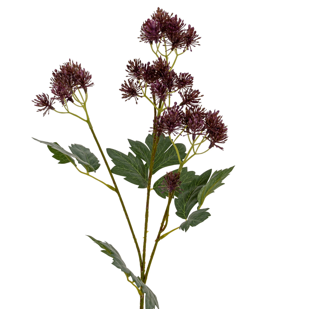 Purple French Meadow Spray - image 3
