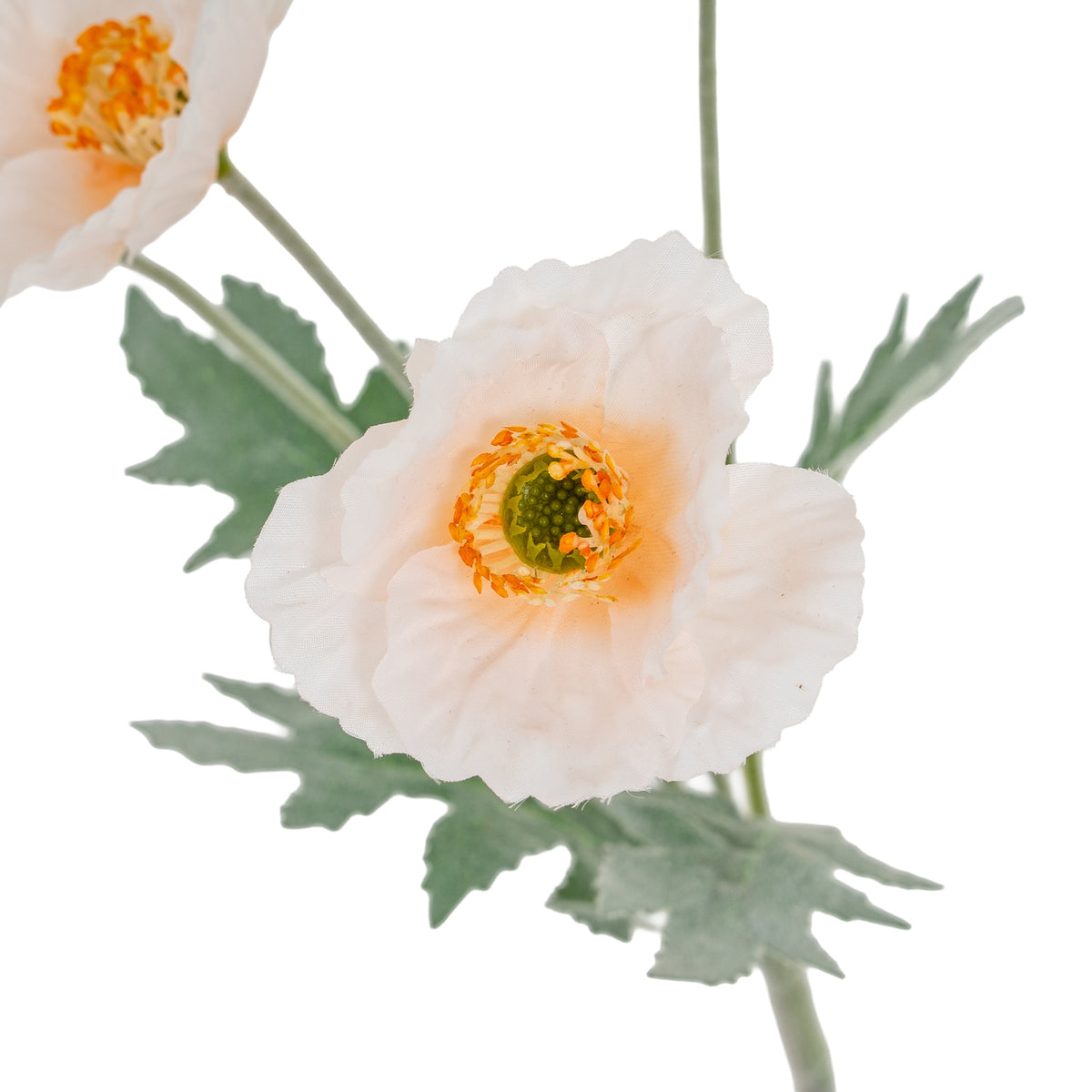 Cream Papaver Poppy Spray - image 3