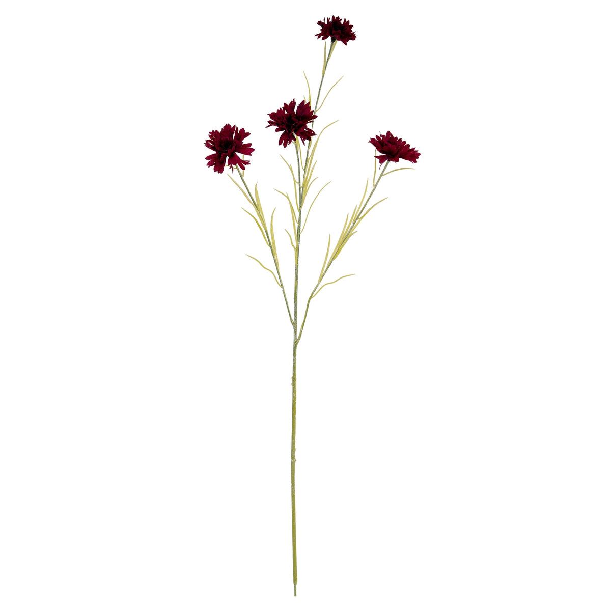 Burgundy Cornflower Stem - image 2