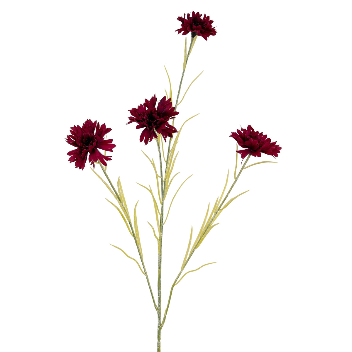 Burgundy Cornflower Stem - image 1