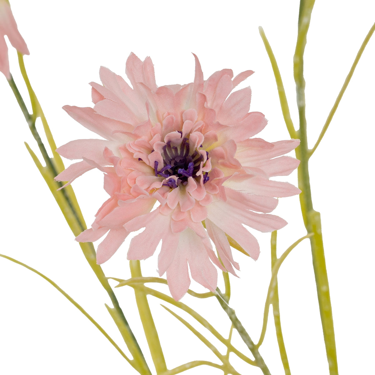 Pink Cornflower Stem - image 3