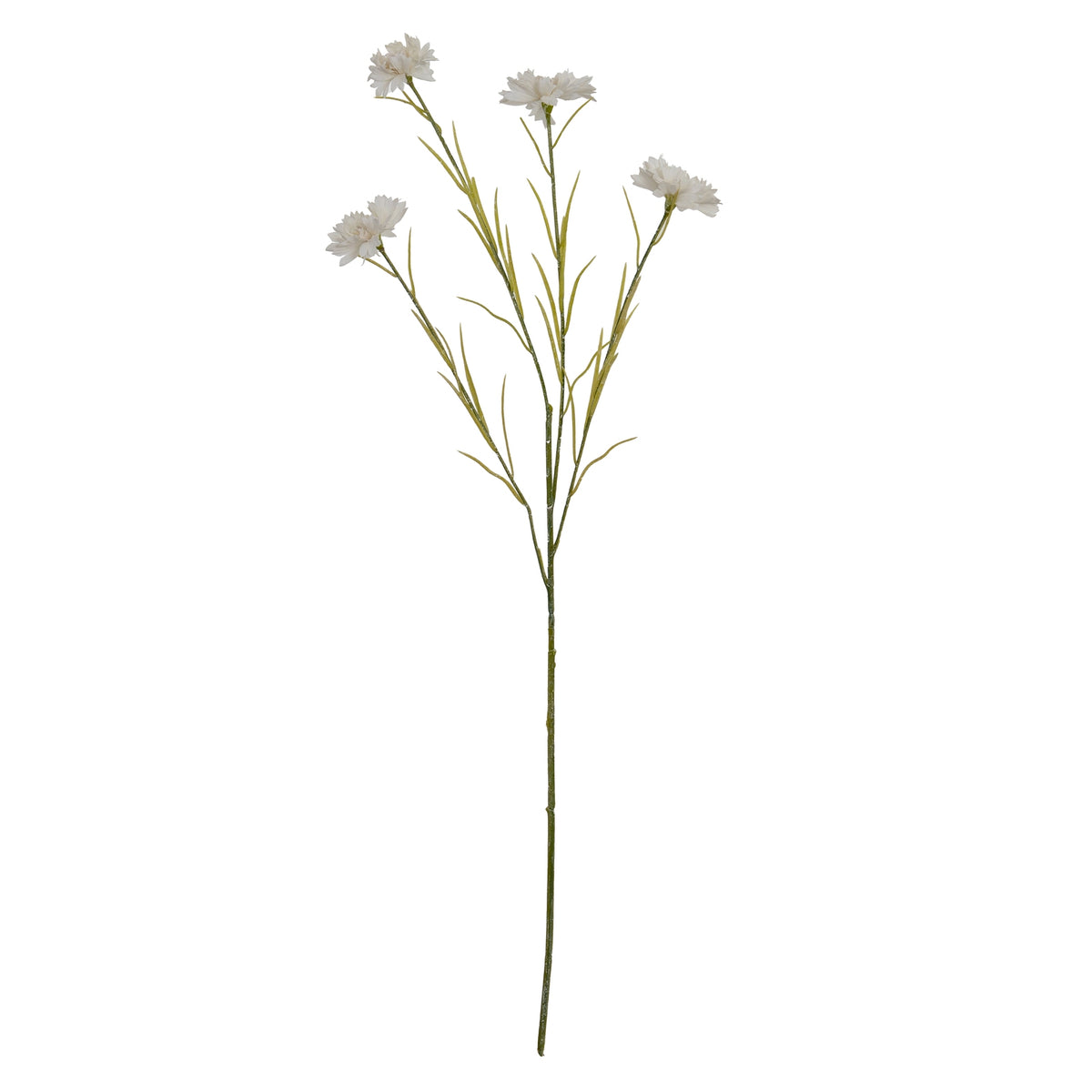 White Cornflower Stem - image 2