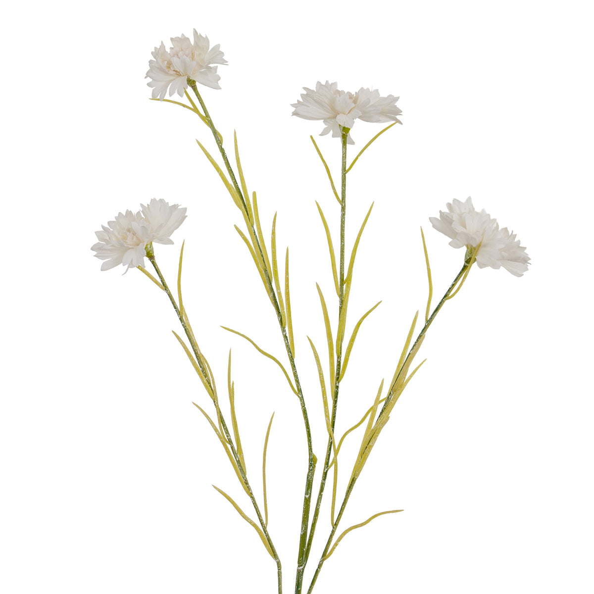 White Cornflower Stem - image 1