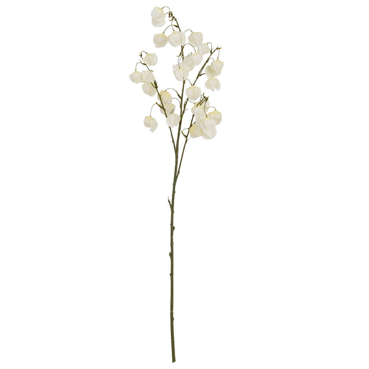 White Physalis Spray - image 2
