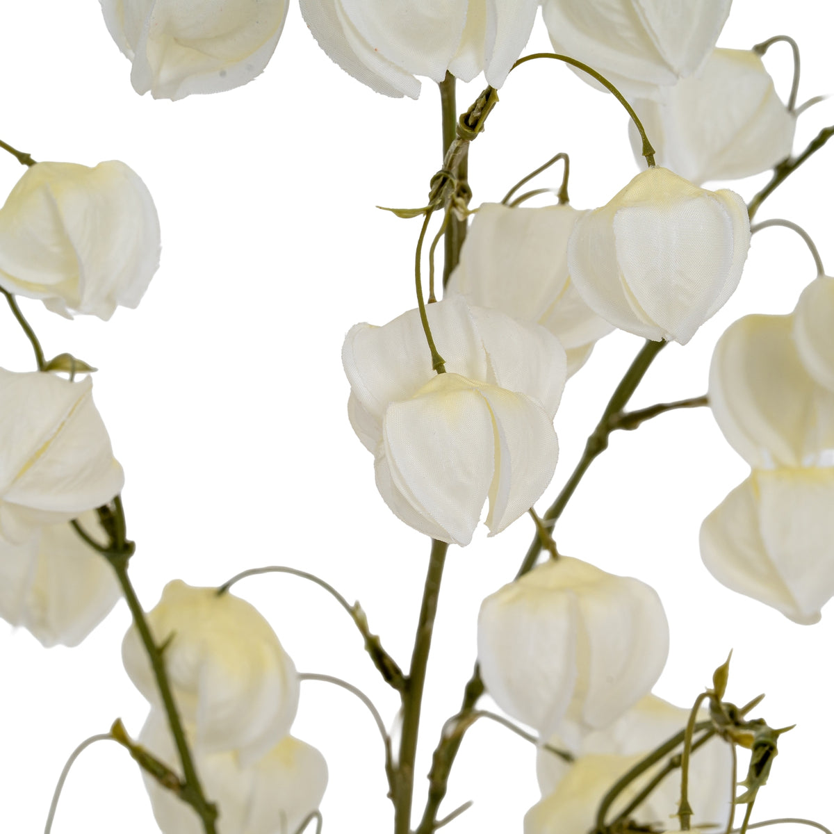 White Physalis Spray - image 3