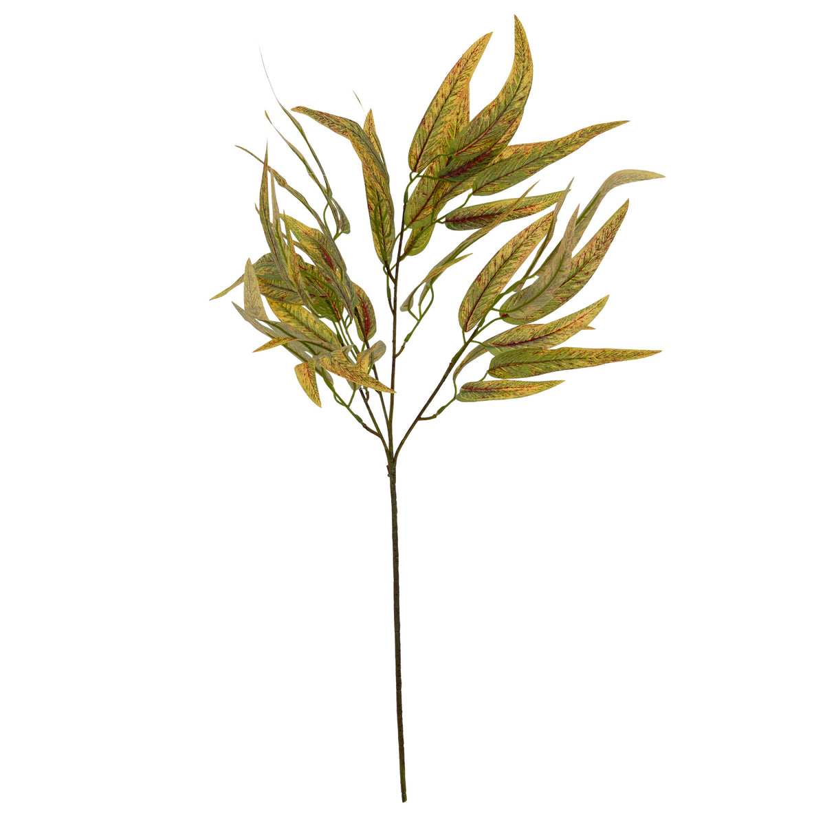 Variegated Long Leaf Eucalyptus Spray - image 3