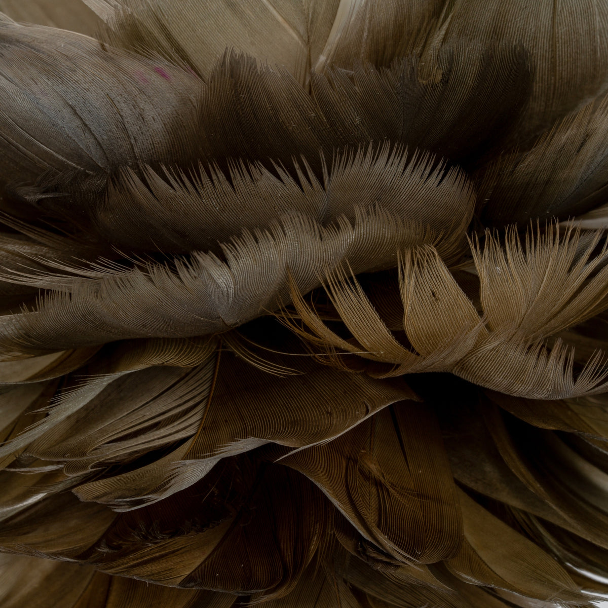 Medium Fawn Feather Ball Decoration - image 2