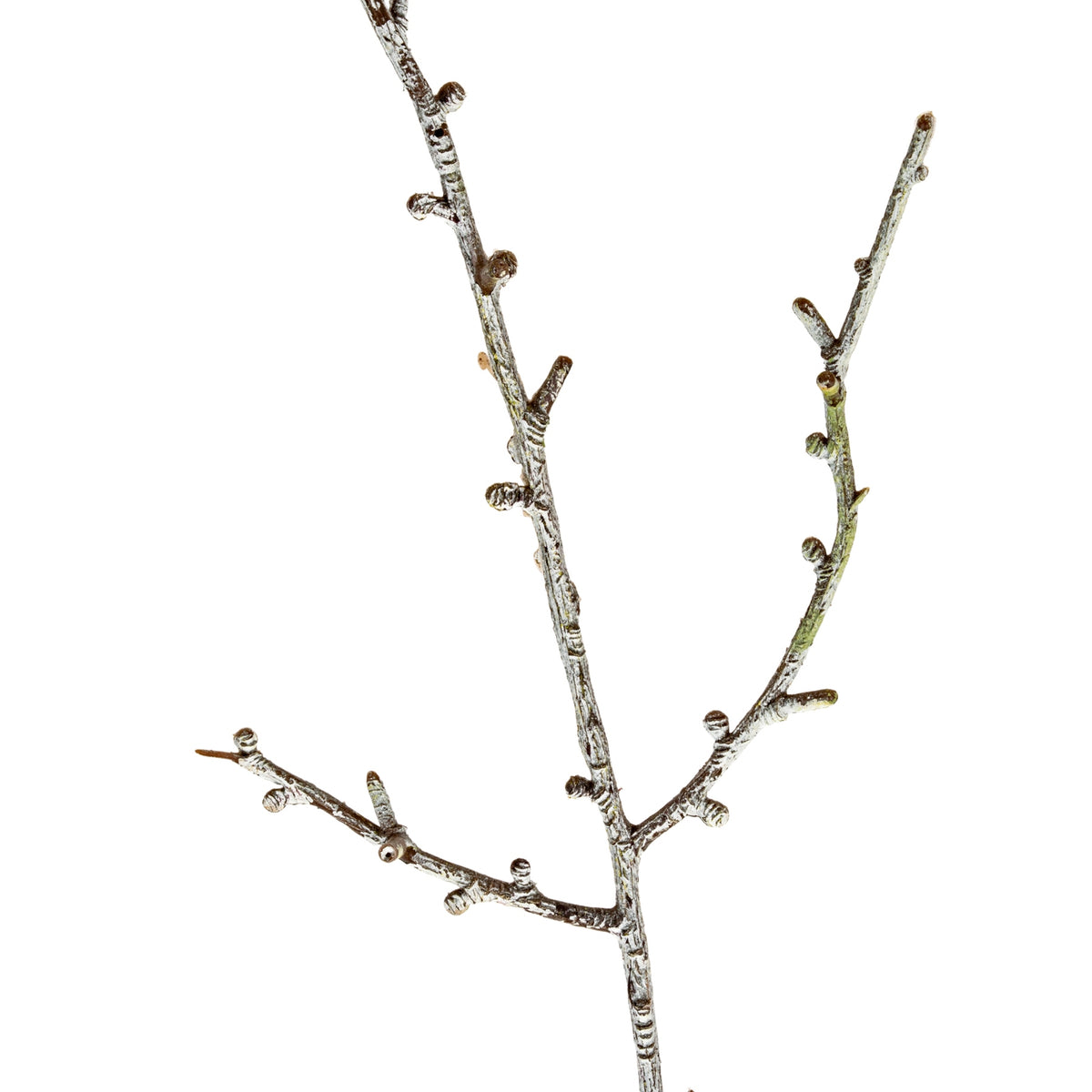 Snowy Winter Woodland Branch - image 2