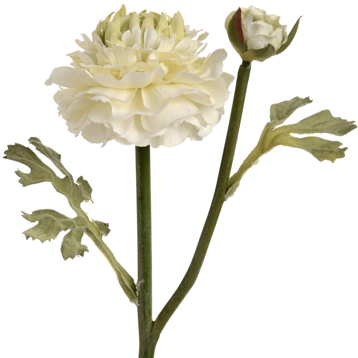 Green Ranunculus Spray - image 4
