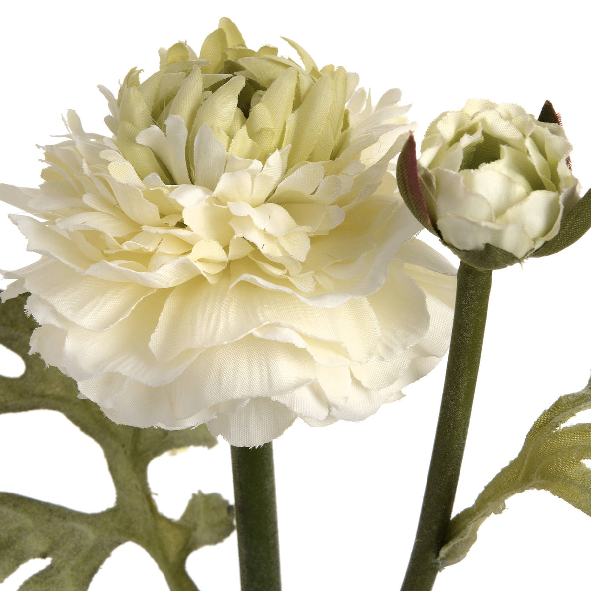 Green Ranunculus Spray - image 5