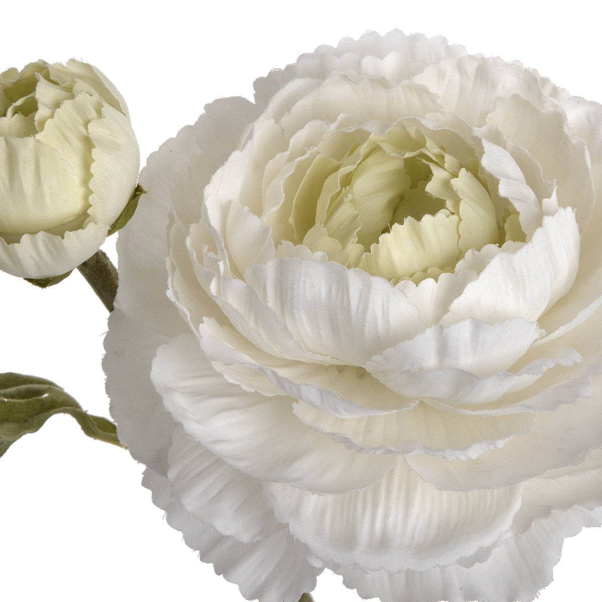 White Ranunculus Spray - image 5