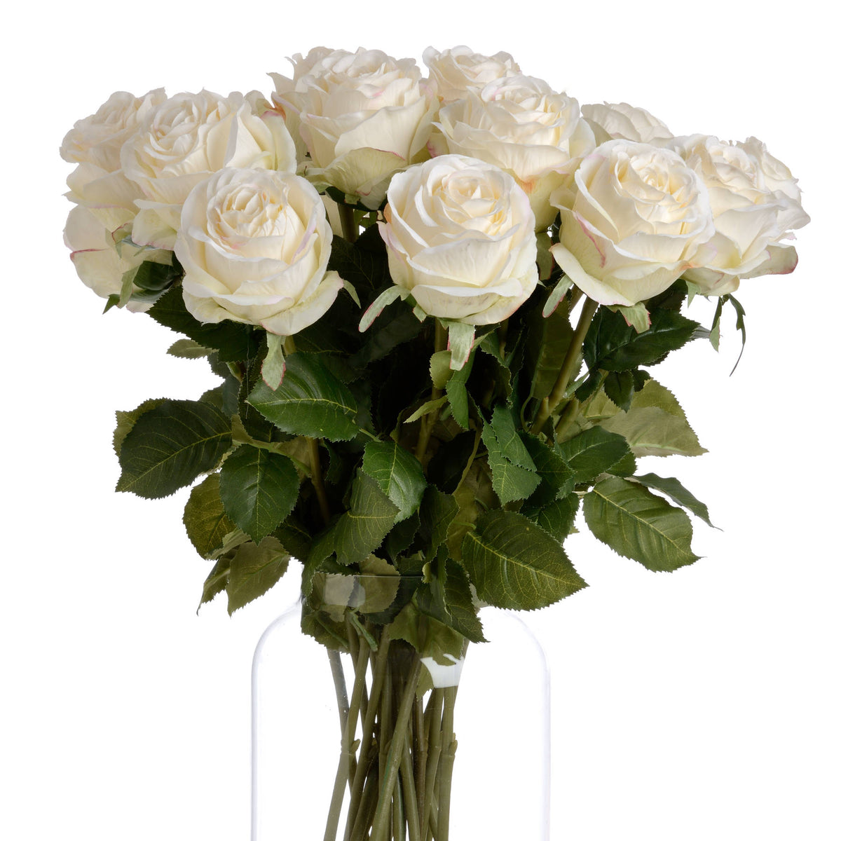 Traditional White Rose - image 4