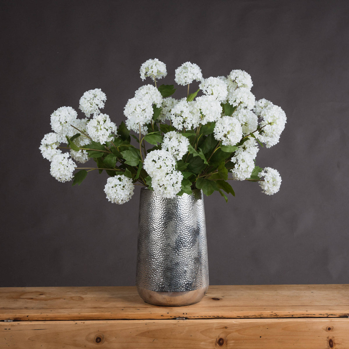 Viburnum Opulus - image 1