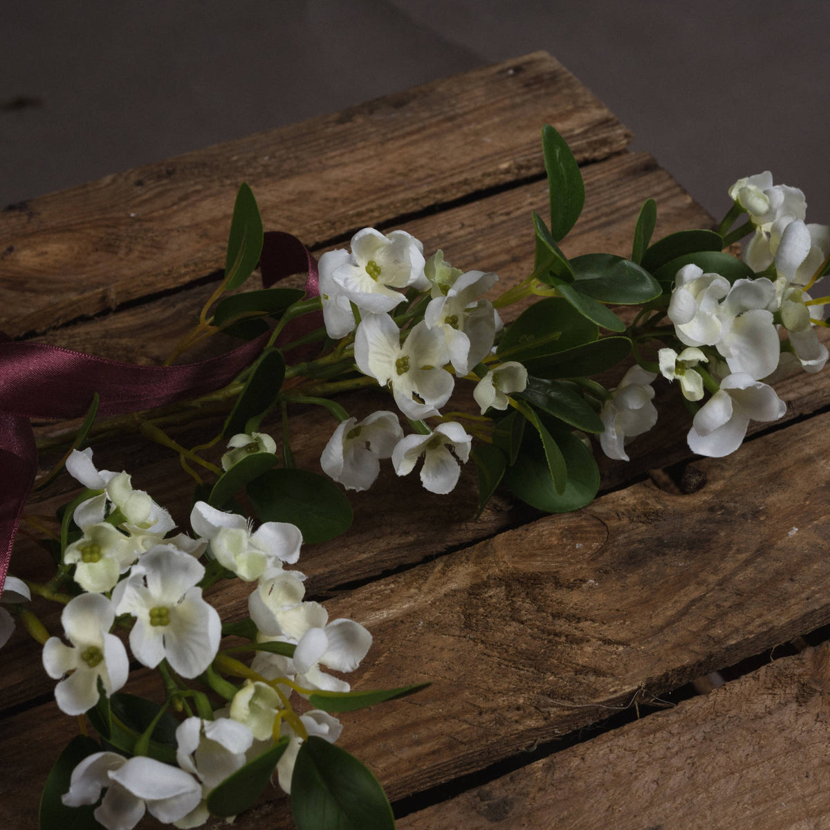 White Spring Mock Orange Flower - image 3