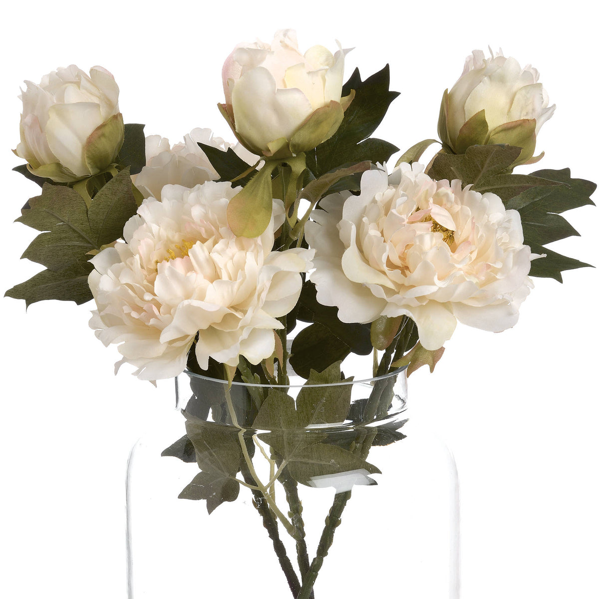 White Fashion Peony - image 4