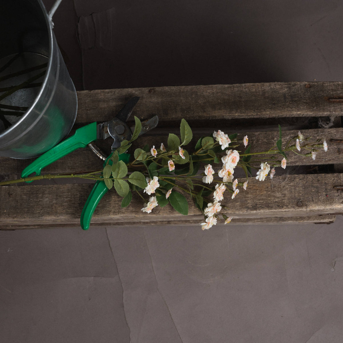 Cream Wild Meadow Rose - image 2