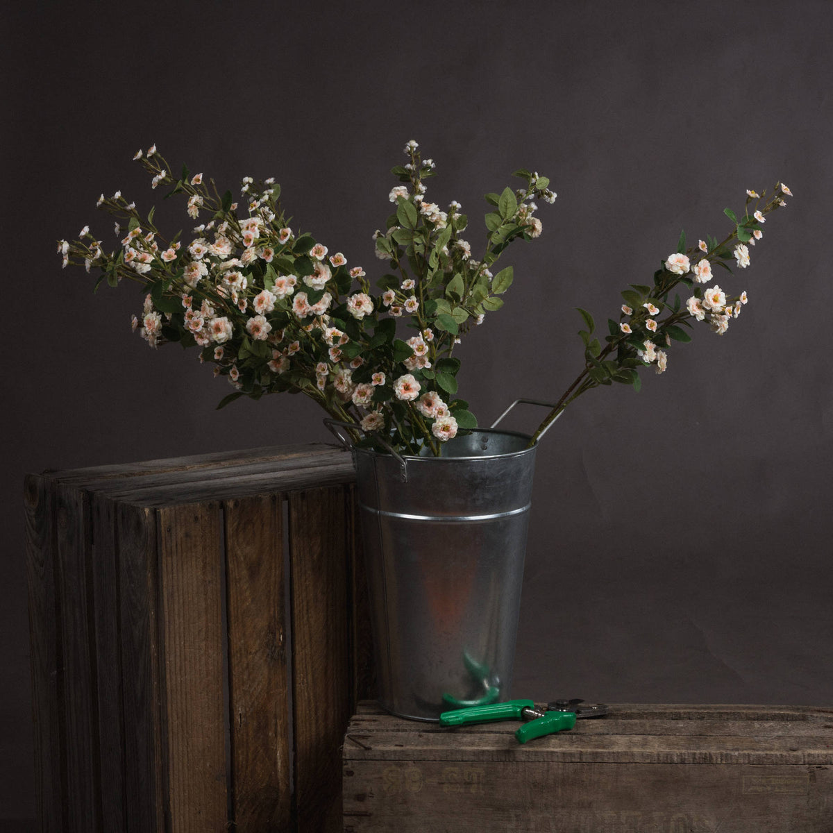 Cream Wild Meadow Rose - image 1