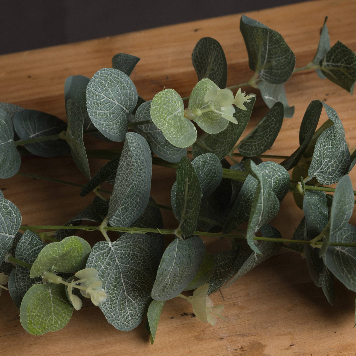 Eucalyptus Spray - image 3