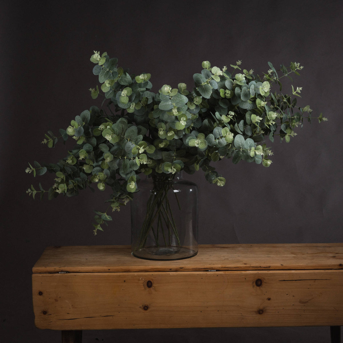 Eucalyptus Spray - image 1