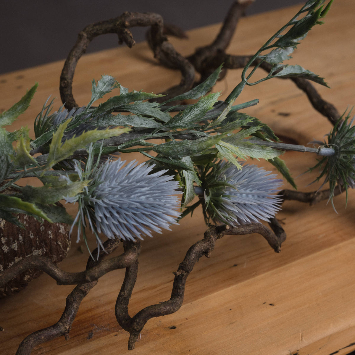 Eryngium Thistle - image 3