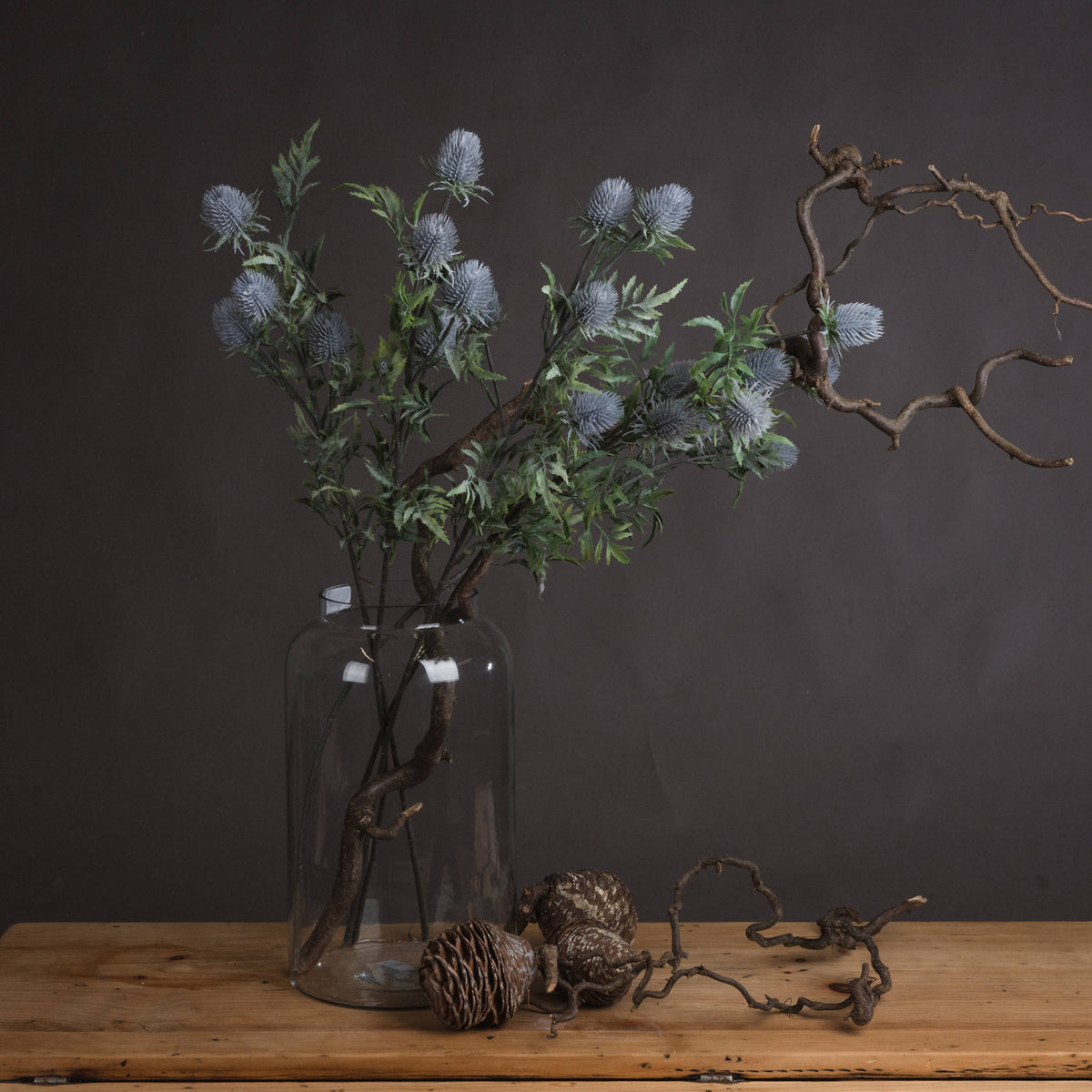 Eryngium Thistle - image 1