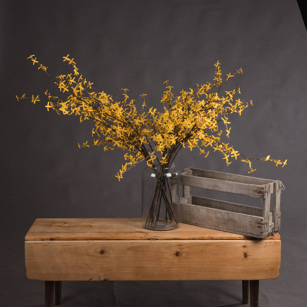 Forsythia - image 1