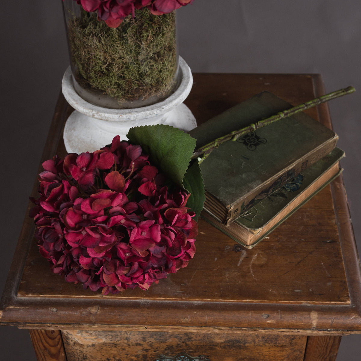 Autumn Ruby Hydrangea - image 2
