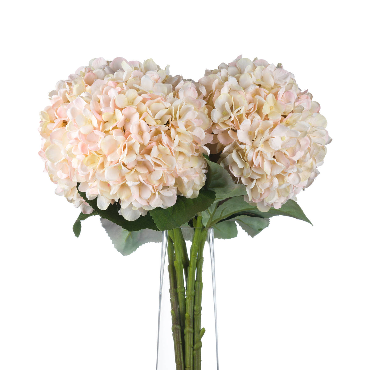 Autumn White Hydrangea - image 4