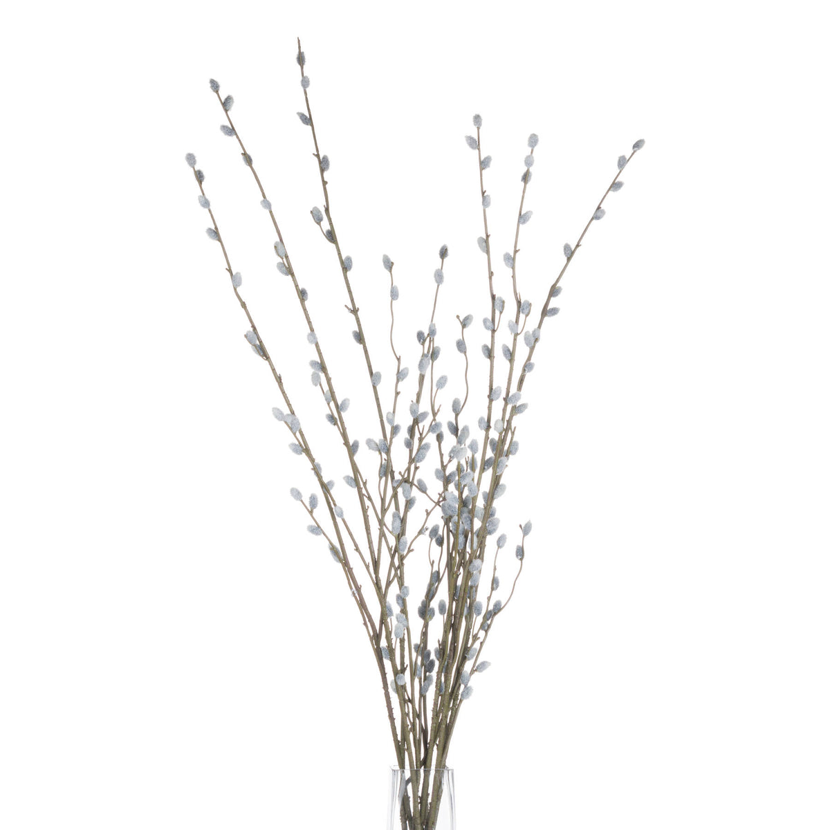 Pussy Willow Branch - image 4