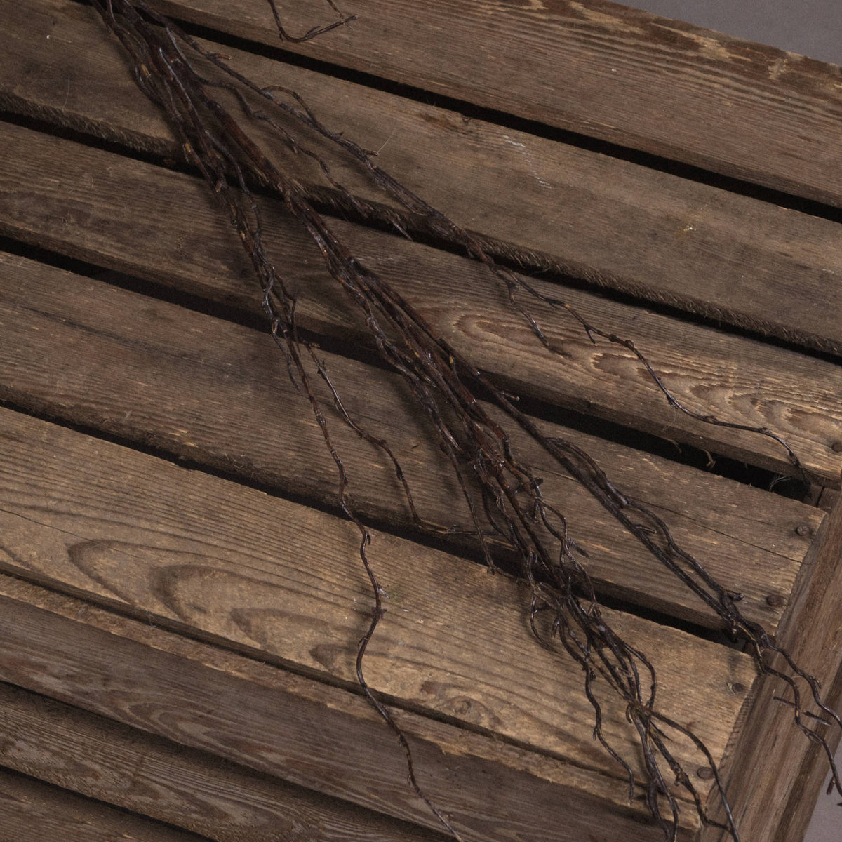 Branch Spray - image 3