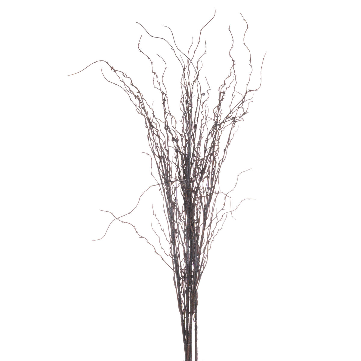 Branch Spray - image 4