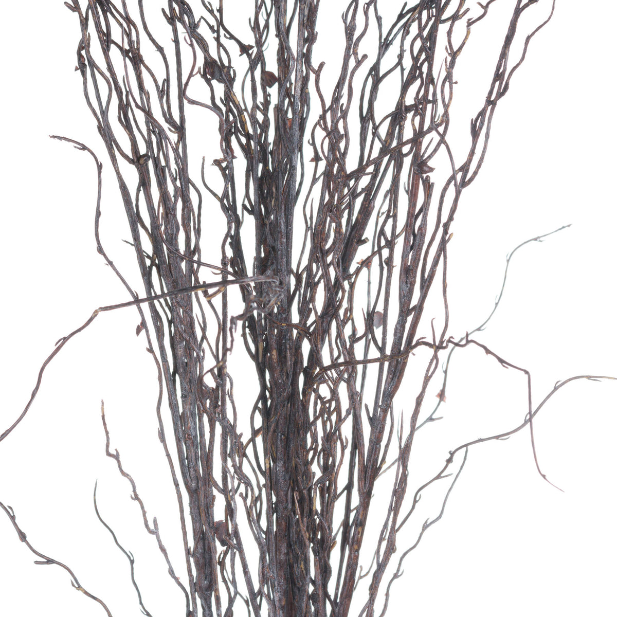 Branch Spray - image 5